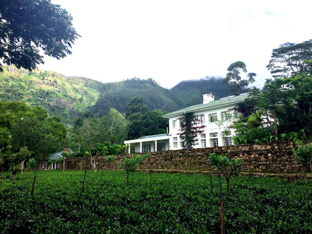 The Planters House Hotel Koslanda Kültér fotó